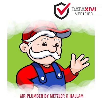 Mr Plumber By Metzler & Hallam Plumber - DataXiVi