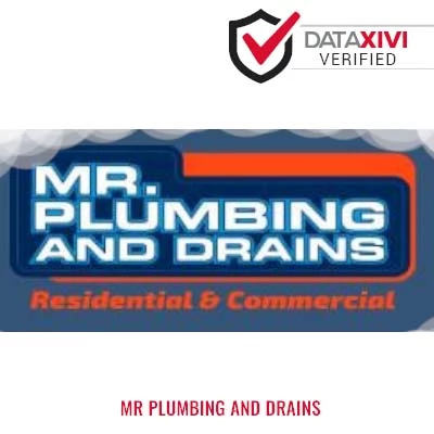 MR PLUMBING AND DRAINS: HVAC System Fixing Solutions in Realitos