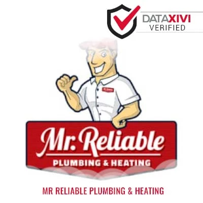 Mr Reliable Plumbing & Heating: Efficient Appliance Troubleshooting in Elfrida