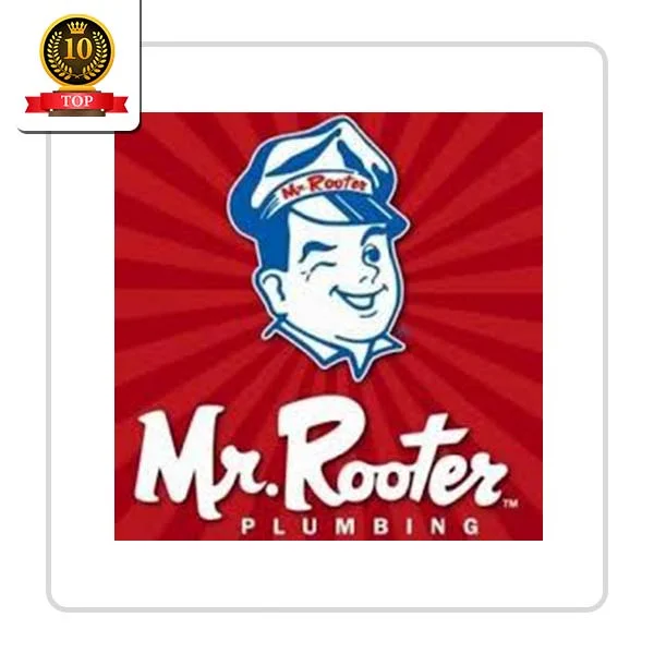 Mr. Rooter Plumbing of Crystal River: Toilet Fitting and Setup in New Ross