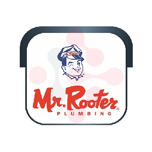Mr. Rooter Plumbing: Expert Window Repairs in Hyde Park