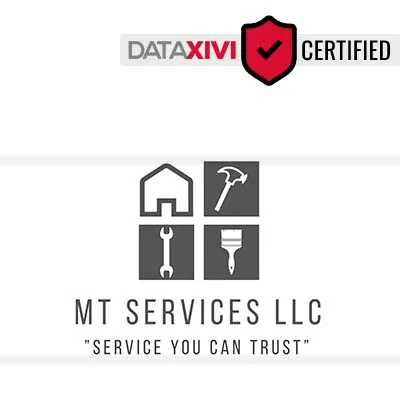MT Services LLC - DataXiVi