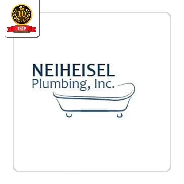 NEIHEISEL PLUMBING INC: Sink Fixing Solutions in Goshen