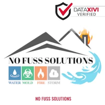 No Fuss Solutions - DataXiVi