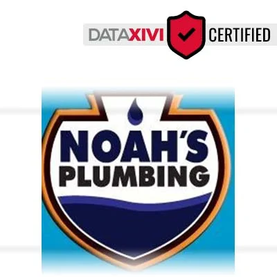 Noah's Plumbing: Swift Sink Fitting in Imler
