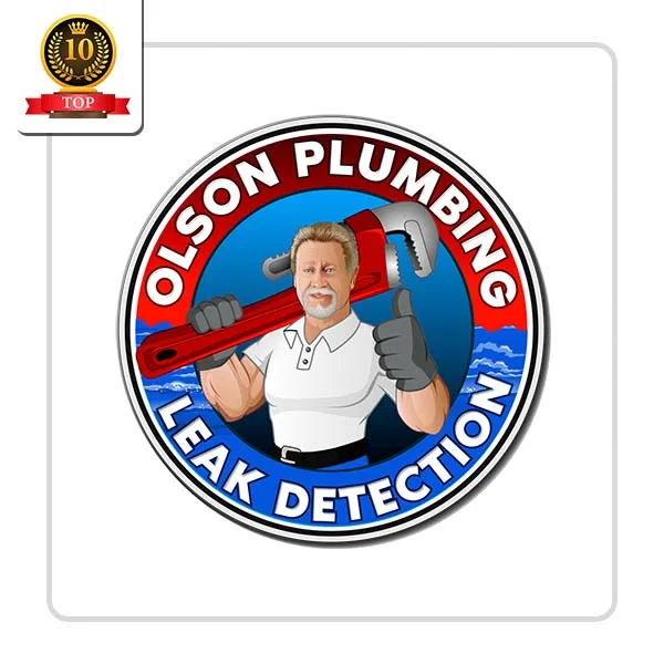 Olson Plumbing: Toilet Repair Specialists in Biloxi