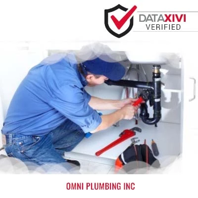 Omni Plumbing Inc: Shower Maintenance and Repair in Brimfield