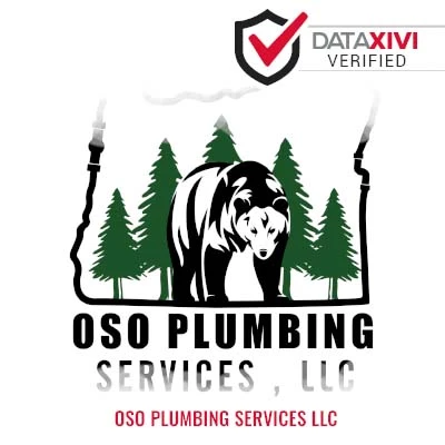 OSO PLUMBING SERVICES LLC: Sink Fixture Setup in Encampment