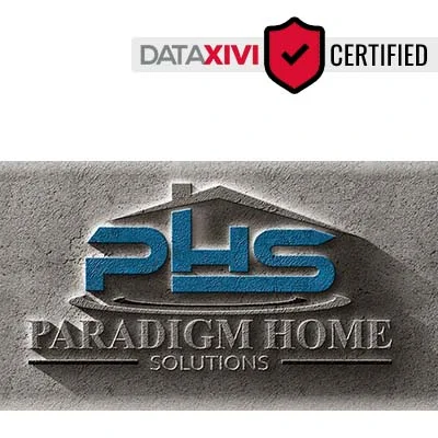 Paradigm Plumbing - DataXiVi