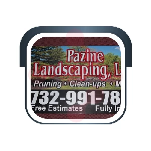 Pazine Landscaping: Swift Faucet Fixing Services in Missouri City
