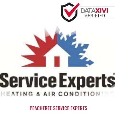 Peachtree Service Experts - DataXiVi