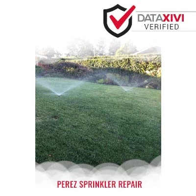 Perez Sprinkler Repair Plumber - DataXiVi