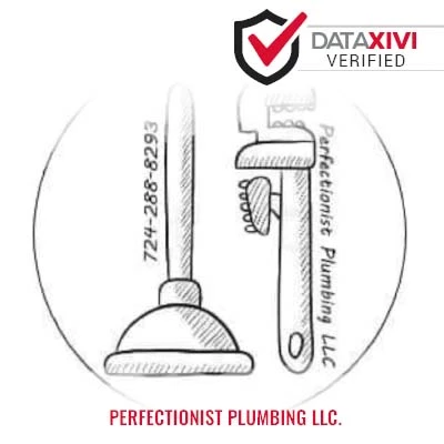 Perfectionist Plumbing LLC. - DataXiVi