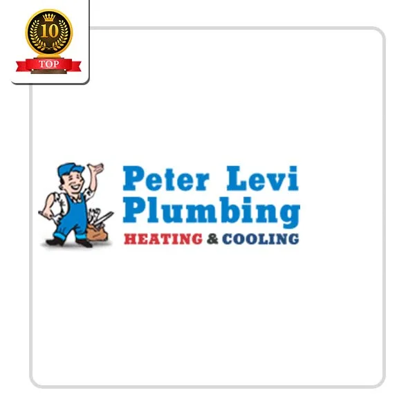 Peter Levi Plumbing Inc: Gutter Clearing Solutions in Spiro