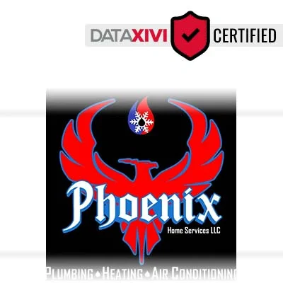 Phoenix HS LLC - DataXiVi