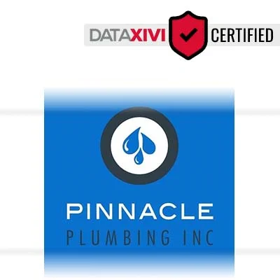 Pinnacle Plumbing, Inc. - DataXiVi