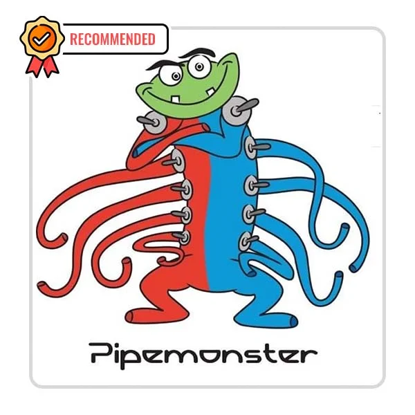 Pipe Monster Plumbing: Leak Fixing Solutions in De Pere