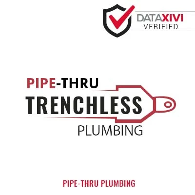Pipe-Thru Plumbing: Lamp Troubleshooting Services in Millersport