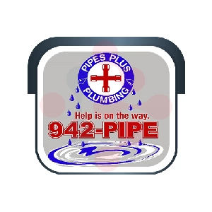 Pipes Plus Plumbing: Expert Leak Repairs in Blandinsville