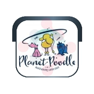 Planet Poodle: Shower Tub Installation in Paris