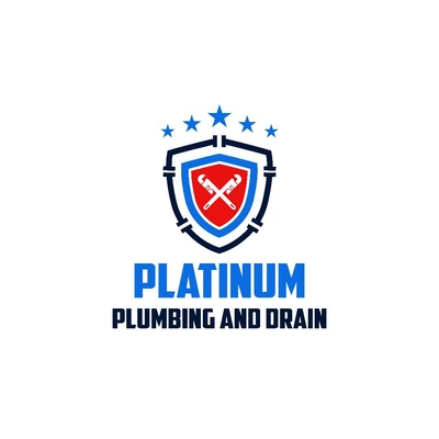 Platinum Plumbing And Drains: Shower Maintenance and Repair in Buchtel