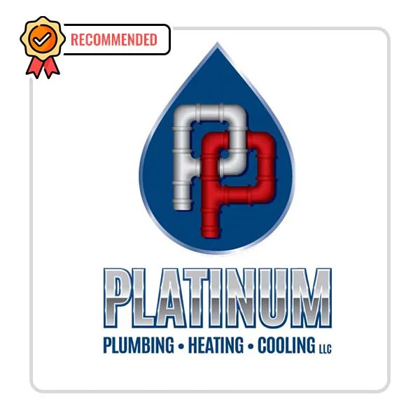 Platinum Plumbing Heating & Cooling: Shower Valve Installation and Upgrade in Bishop