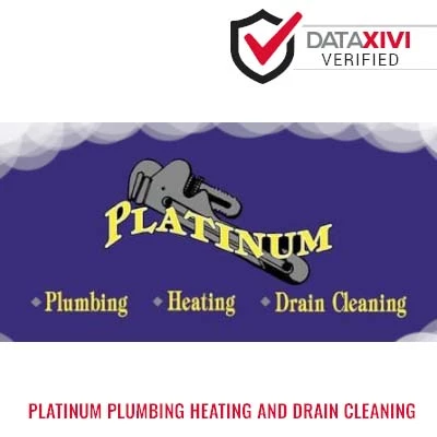Platinum Plumbing Heating And Drain Cleaning Plumber - DataXiVi