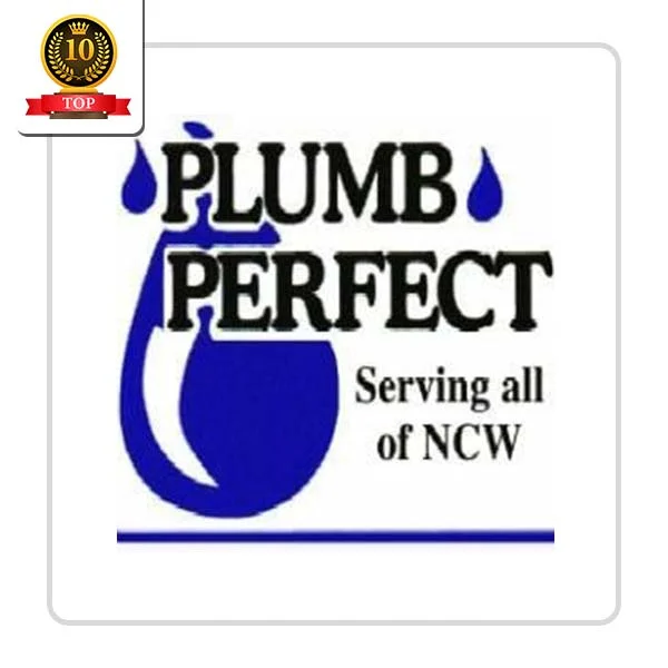 Plumb Perfect: Replacing and Installing Shower Valves in Perry