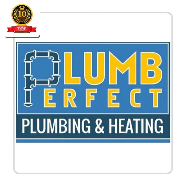 Plumb Perfect: Septic Cleaning and Servicing in Waldo