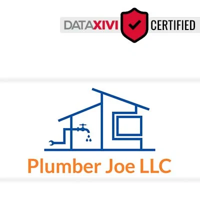 PLUMBER JOE LLC - DataXiVi