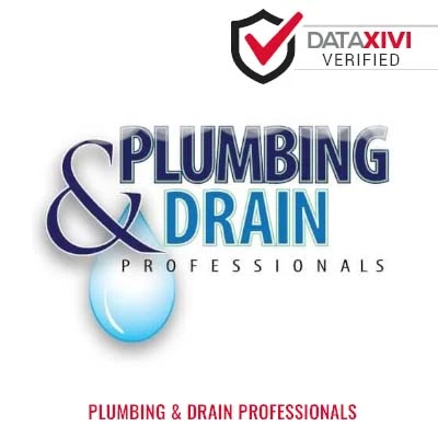Plumbing & Drain Professionals Plumber - DataXiVi