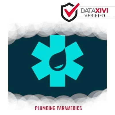 Plumbing Paramedics Plumber - DataXiVi