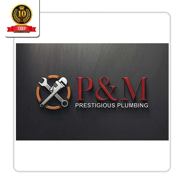 PM Prestigious Plumbing: Submersible Pump Fitting Services in Nelson
