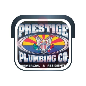 Prestige Plumbing Co. Plumber - DataXiVi