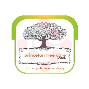 Princeton Tree Care: Professional drain cleaning services in Van Dyne