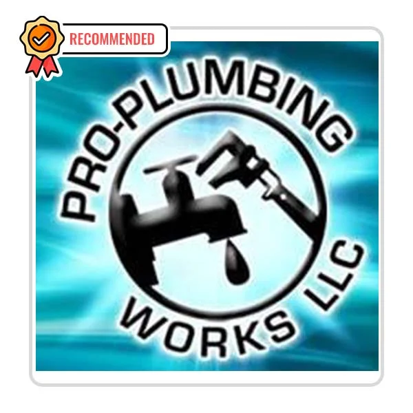 Pro-Plumbing Works LLC: Unclogging drains in Barnard