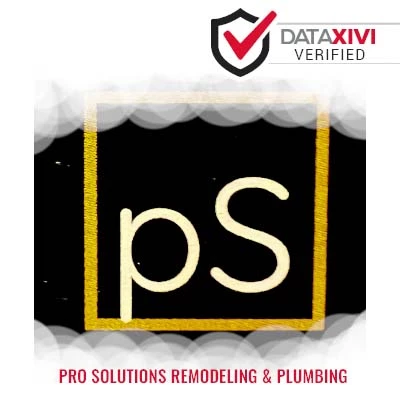 Pro Solutions Remodeling & Plumbing - DataXiVi