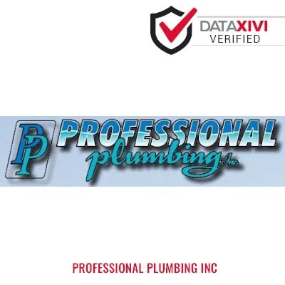 Professional Plumbing Inc - DataXiVi