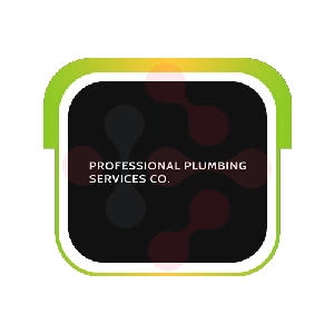 Professional Plumbing Services Co.: Expert Bathroom Drain Cleaning in Arlington