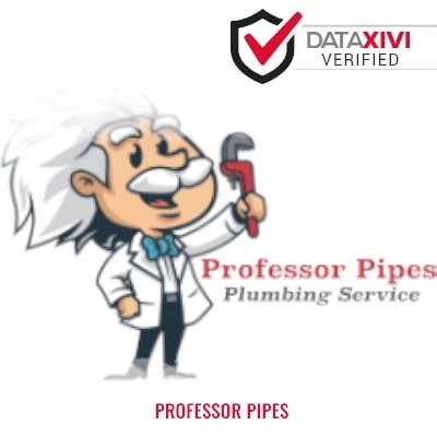 Professor Pipes Plumber - DataXiVi