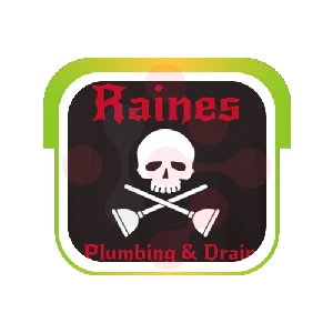 Raines Plumbing And Drain: Expert Sink Installation Services in Ashmore