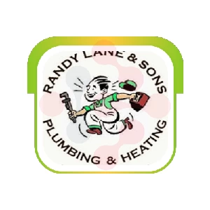 RANDY LANE & SONS PLUMBING & HEATING INC: Gutter Cleaning Specialists in Loveland