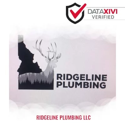Ridgeline Plumbing llc: Video Camera Inspection Specialists in Durand
