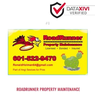 RoadRunner Property Maintenance - DataXiVi