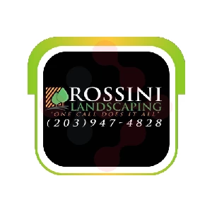 Rossini Landscaping: Bathroom Drain Clearing Services in Saint Michael