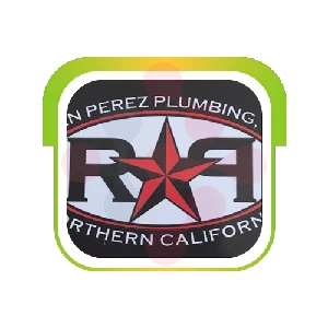 Ryan Perez Plumbing LLC: Expert Shower Valve Replacement in Sheakleyville