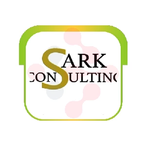 Sark Consulting Inc