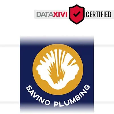 Savino Plumbing - DataXiVi