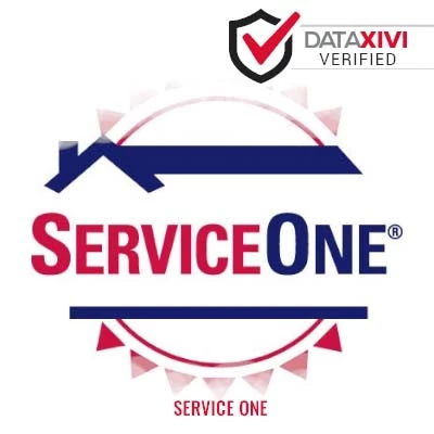 Service One: Toilet Repair Specialists in Davis Junction