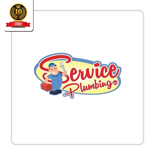 Service Plumbing Inc: Furnace Fixing Solutions in Clyo